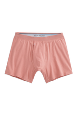 SILVER Boxer Brief