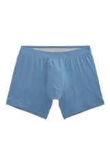 SILVER Boxer Brief