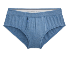 SILVER Brief