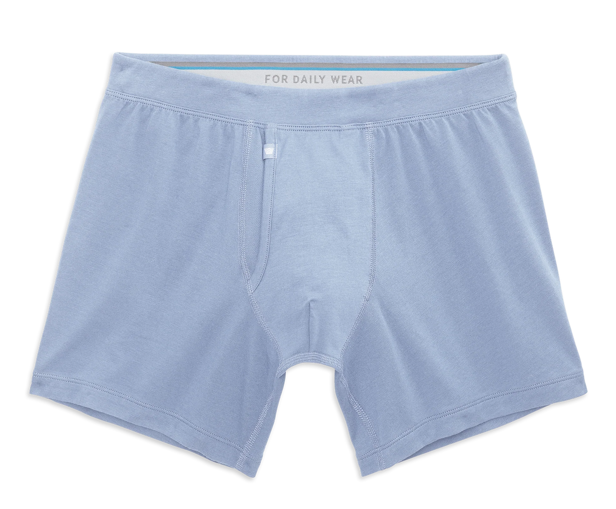 SILVER Boxer Brief