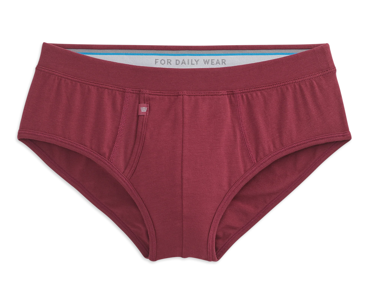 SILVER Brief