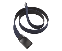 Covert Belt